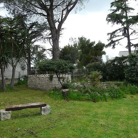 B&B Villa Garden Bisceglie Eksteriør bilde