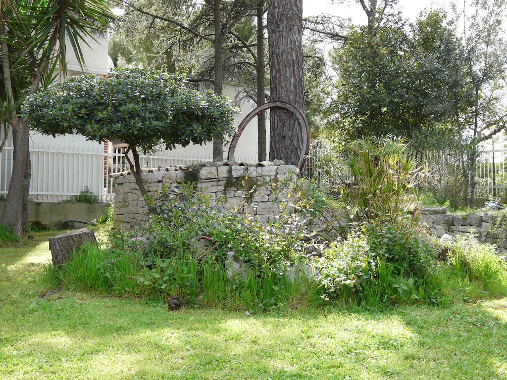 B&B Villa Garden Bisceglie Eksteriør bilde